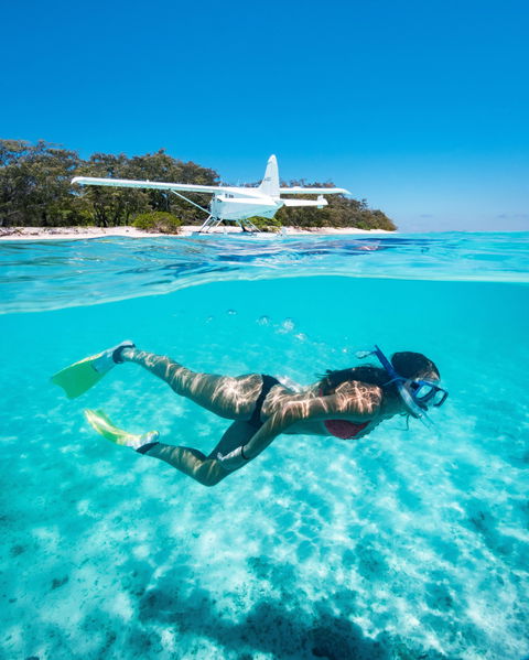 Heron Island Resort - Tourism Noosa 1
