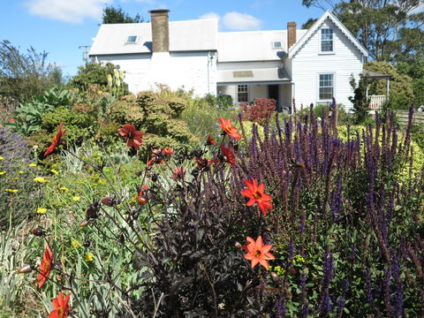 Robin Hood's Well Farm Stay - Tourism Noosa 2