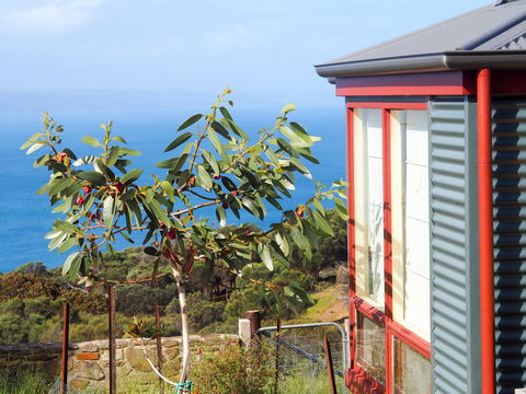 The Grass Tree Coastal Retreat Kangaroo Island - Tourism Noosa 1
