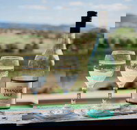 Tranquil Vale Vineyard - Tourism Noosa