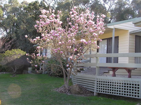 Annies Holiday Units - Tourism Noosa 0