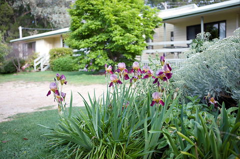 Annies Holiday Units - Tourism Noosa 2