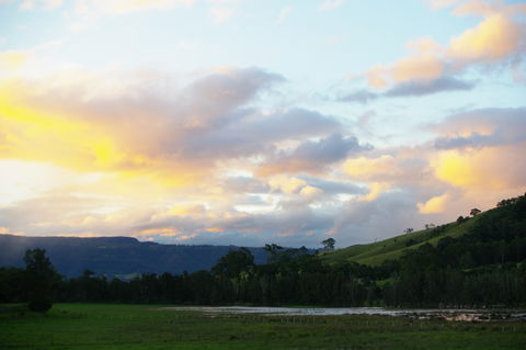 Back Forest Retreat - Tourism Noosa 0