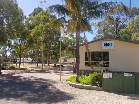 Big4 Blanchetown Riverside Holiday Park - Tourism Noosa 0