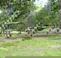 Broadwater camping area Abergowrie State Forest - Tourism Noosa