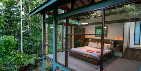 Crystal Creek Rainforest Retreat - Tourism Noosa 2