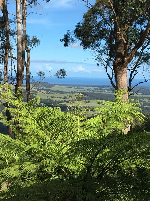 Escarpment - Tourism Noosa 0