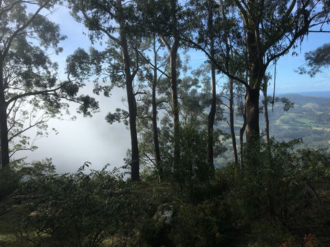 Escarpment - Tourism Noosa 2