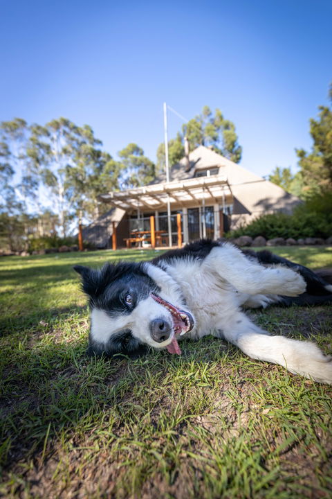 Grampians Getaway - Tourism Noosa 0