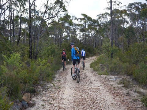 Ingar Campground - Tourism Noosa 0