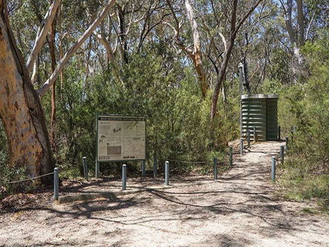 Ingar Campground - Tourism Noosa 1