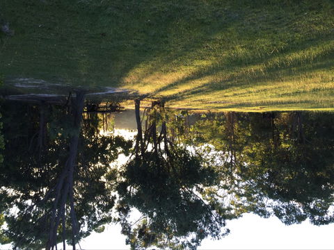 Possum's Hollow And Hooter's Hut - Tourism Noosa 0