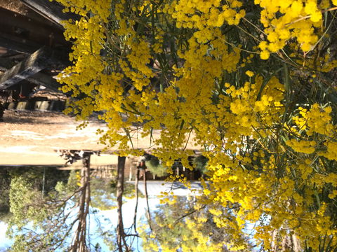 Possum's Hollow And Hooter's Hut - Tourism Noosa 1