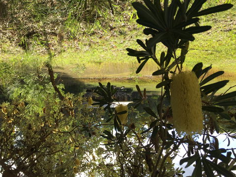 Possum's Hollow And Hooter's Hut - Tourism Noosa 2