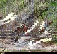 Rakhi Retreat - Tourism Noosa