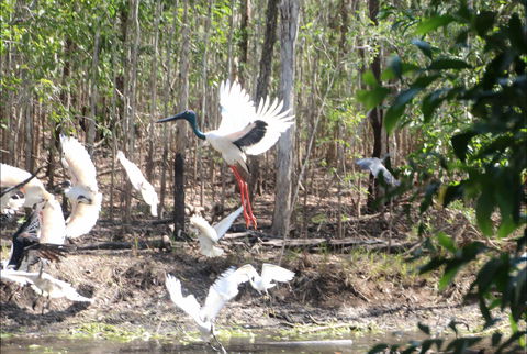 Rakhi Retreat - Tourism Noosa 0