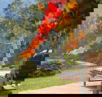 Riverdowns - Tourism Noosa