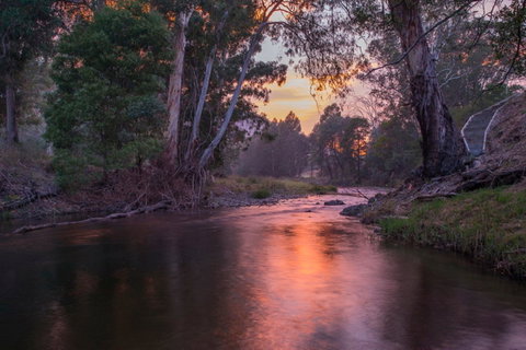 Riverdowns - Tourism Noosa 1
