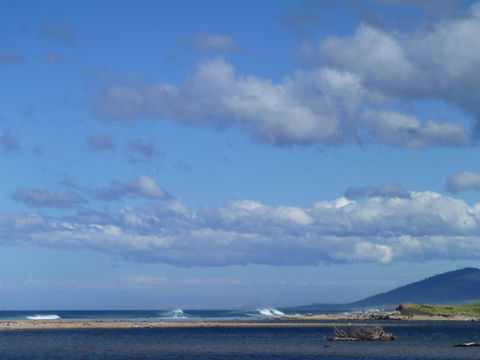 Scamander On The Beach - Tourism Noosa 1