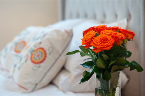 The Nest At Gundaroo - Tourism Noosa 1