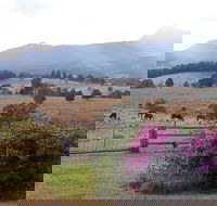 The Barn  House Farm Stay at Possum Manor - Tourism Noosa