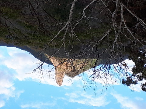 The Barn  House Farm Stay At Possum Manor - Tourism Noosa 1