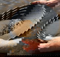 Tuena Camping and Picnic Ground - Tourism Noosa