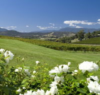 Balgownie Estate Vineyard Resort and Spa - Tourism Noosa