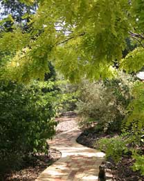 Eagle Hammer Cottages - Tourism Noosa 0