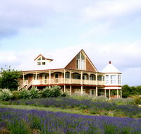 Serendipity Lavender Farm - Tourism Noosa