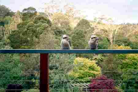 Upwey VIC Tourism Noosa
