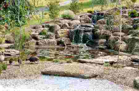 Mast Gully Gardens - Tourism Noosa 5