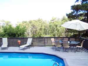 Sunway Farm B And B And Tours - Tourism Noosa 3