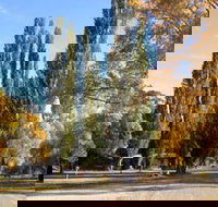 Omeo Caravan Park - Tourism Noosa