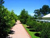 Creaton Cottage - Tourism Noosa 5