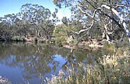 Riverside Host Farm - Tourism Noosa 1