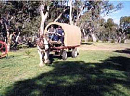 Riverside Host Farm - Tourism Noosa 3