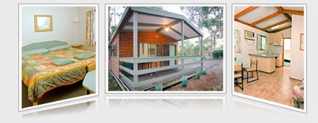 A Maze N Things Holiday Park - Tourism Noosa 5