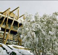 Silverski - Tourism Noosa