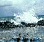 Bargara Beach Motor Inn - Tourism Noosa