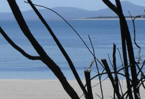 Echo Hills - Tourism Noosa 2