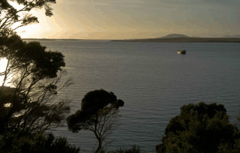 Echo Hills - Tourism Noosa 4