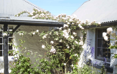 Orford Sanda House B&B - Tourism Noosa 1