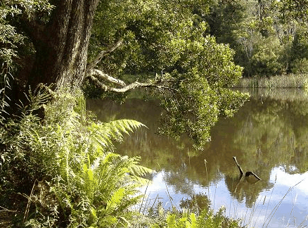 Weldborough Hotel - Tourism Noosa