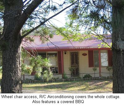 Glen Eden Cottages - Tourism Noosa 1