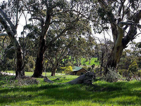 Wuthering Heights - Tourism Noosa 1