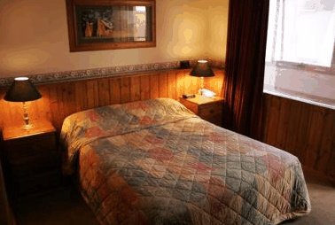 Astor Inn Hotel - Tourism Noosa