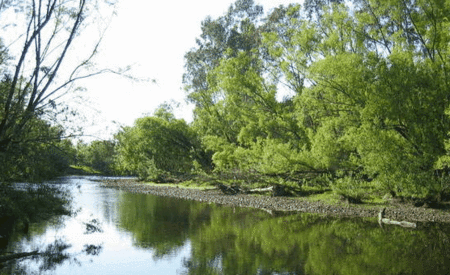 Ribbonwood Cottages - Tourism Noosa