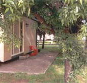 Carinya Cabins  Caravan Park - Tourism Noosa