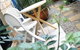 Beach House Bed & Breakfast - thumb 3